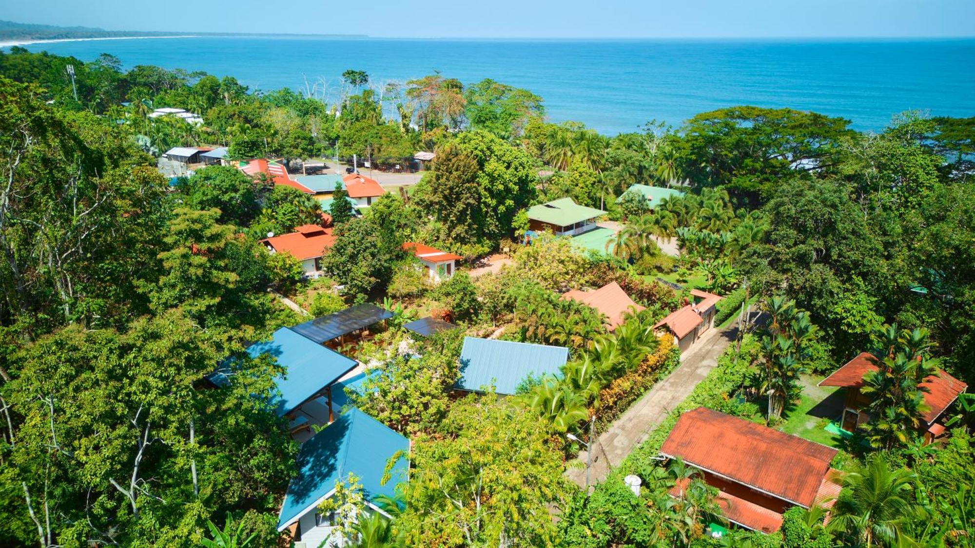 Casa Blossom - Beach Paradise Retreat, Fully Equipped, Holiday Home Puerto Viejo de Talamanca Exterior photo